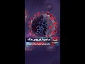 ما هو الفيروس  وهل يشك ل خطرا شبيها بكورونا