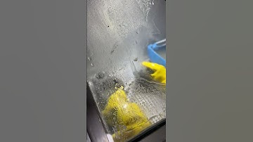 Tủ bắn cát nước #tubancatnuoc