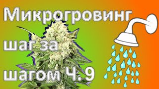 Микрогровинг шаг за шагом. Часть 9 - флаш.