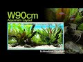 [ADAview] Echinodorus Paradise エキノドルス・パラダイス  -W90cm Aquarium Layout-【EN/JP
