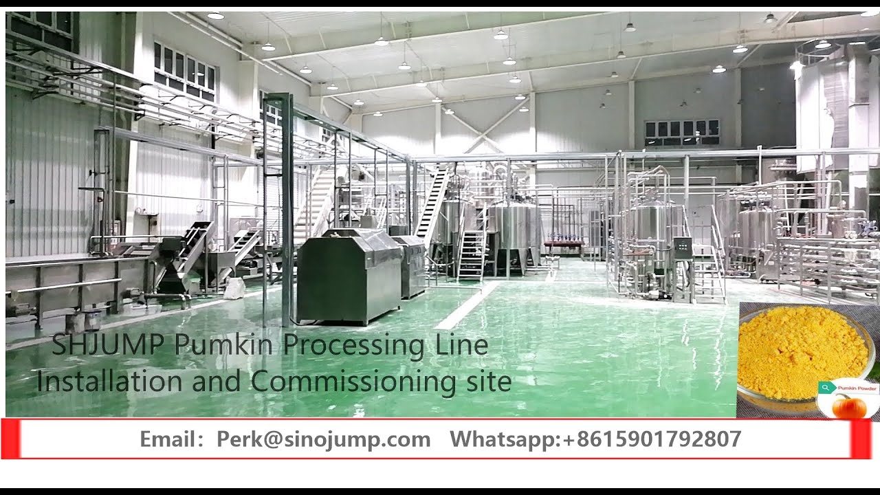 pumkpin pulp and powder processing plant installation and commisioning ...