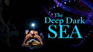 DEEP OCEAN: The Last Unknown World on Earth | 4K Documentary