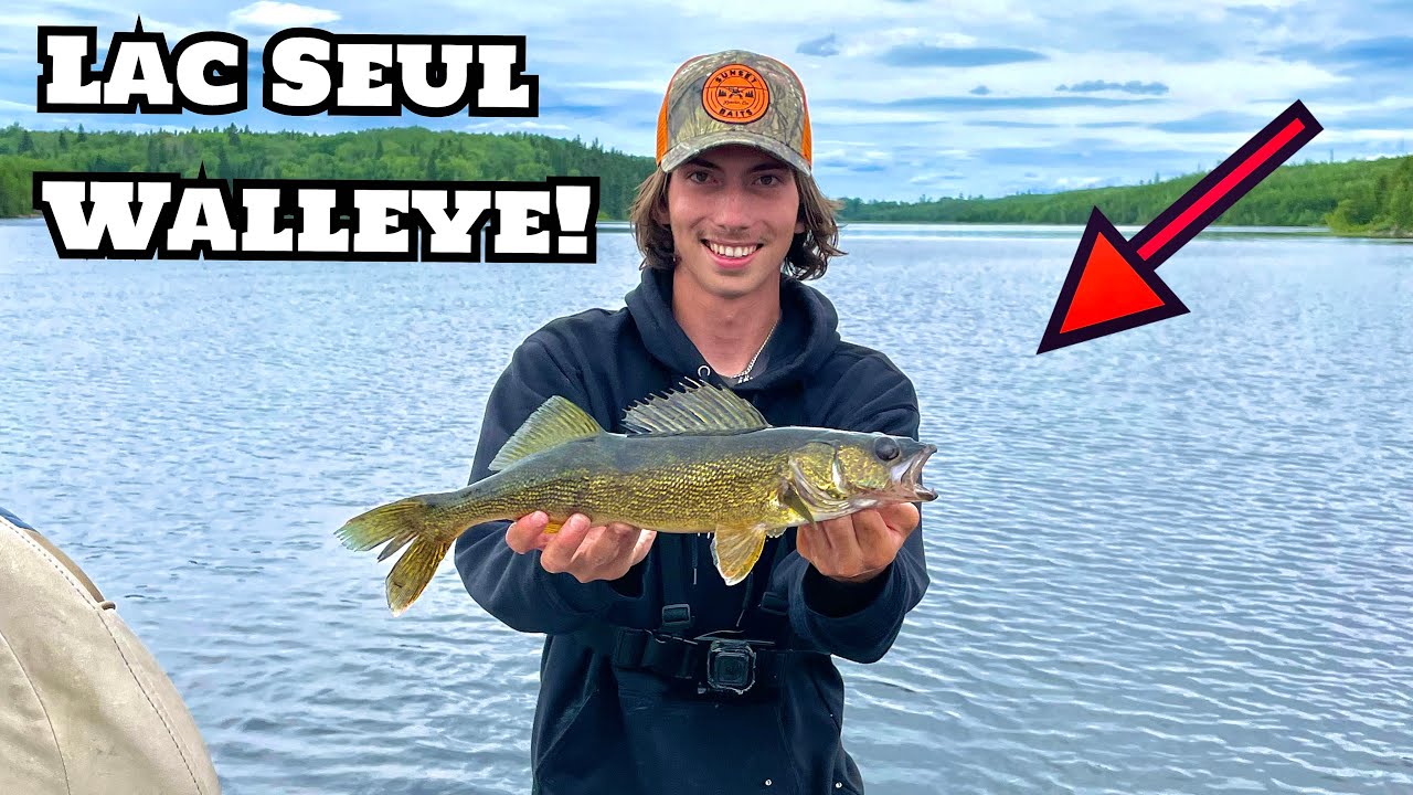 AMAZING day of WALLEYE FISHING the great LAC SEUL!! (So many fish