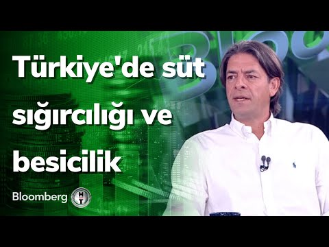 Video Türkiye'de süt sığırcılığı ve besicilik - Tarım Analiz... - youtube