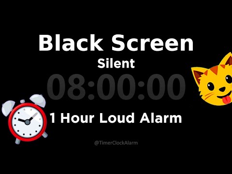 Black Screen 🖥 8 Hour Timer (Silent) 1 Hour Loud Alarm [Sleeping and Relaxation]