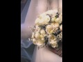 ミカンが実る頃/藍美代子/coverまさ/Dunnさん演奏