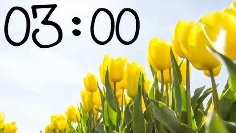 3 Minute Spring 🌷 Countdown Timer With Music