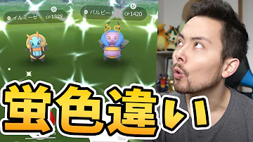 イルミーゼ