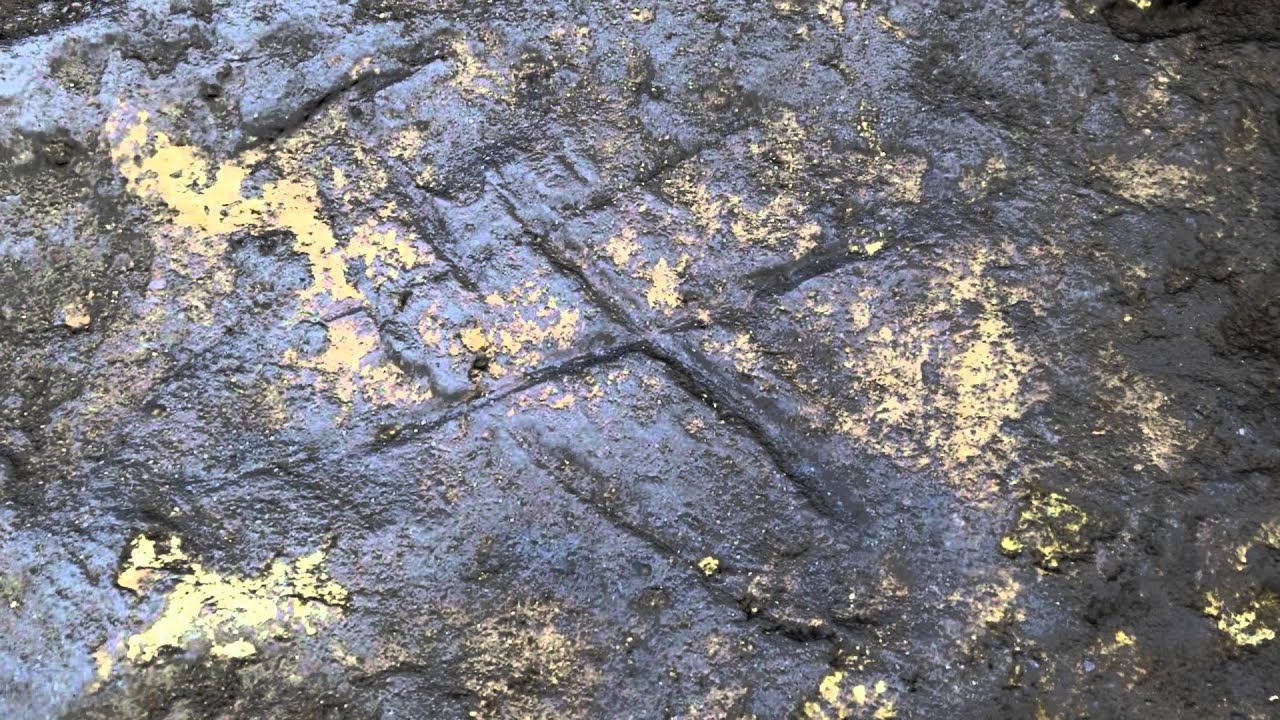 scientific calculator First Neanderthal Rock Art Revealed in Spain | Video