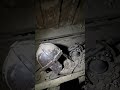 treasure box #metaldetecting #treasuresearch #treasurehunting #treasure