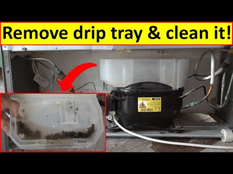 How to clean your fridge freezer drip tray 