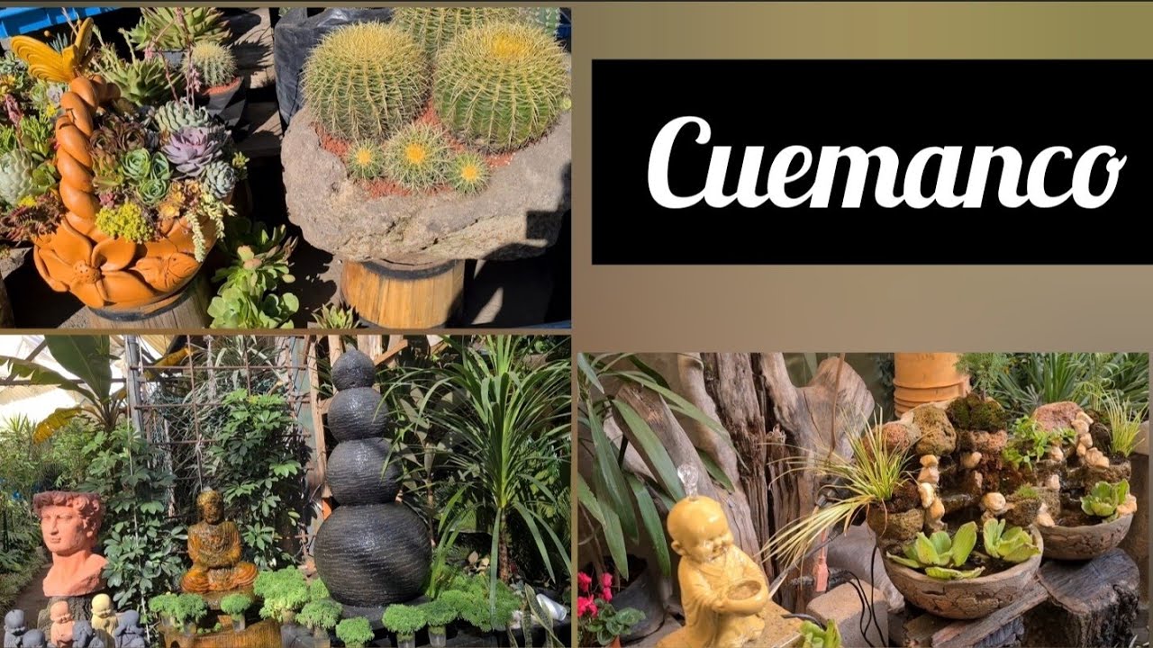 mercado de plantas y flores CUEMANCO - Xochimilco