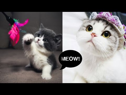 40 жастан асқан әйелдер порно