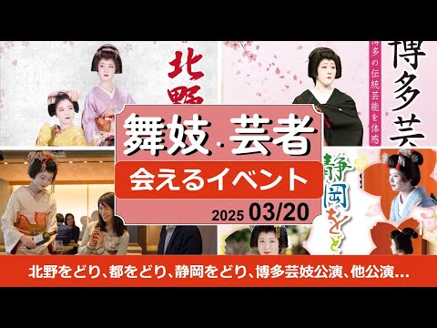 舞妓芸者さんイベント！静岡をどり､北野をどり､都をどり､鴨川をどり､博多芸妓公演､他定期公演。2025/03/20 #舞妓 #舞子 #芸者 #観光 #maiko #kyoto #tokyo