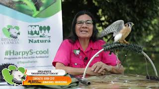 Conferencia sobre Aves Rapaces Rescatadas de la Fundación Naturaleza y Ciencia 507,