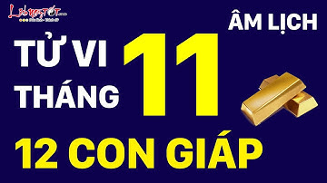 Tử Vi Tháng 11 Âm Lịch Năm 2019 Ai Phát Tài Phát Lộc Ai Vận Đen Đeo Bám - Tử vi 12 con giáp