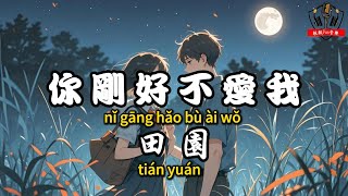 田園 - 你剛好不愛我『我最愛你的時候你卻剛好不愛我』【繁體拼音動態歌詞Lyrics】【CC字幕】