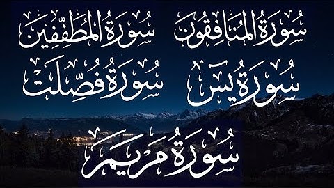 تلاوة هادئة تريح الأعصاب 😴💚| سورة مريم | سورة فصلت | سورة يس|سورة المطففين |سورة المنافقون #quran