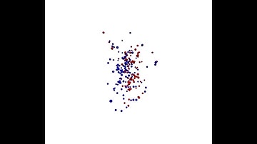 Heavy Ion Collision: Head-On