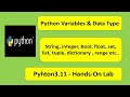 What is Python variable and data type for beginners - Lab1