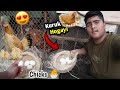 Akhir Murghi Kuruk Hogayi. 😍🐣 ||Kia Is Murghi Ke Nechay Anday Rakh Du. 🤔|| |Unique Birds Vlog|