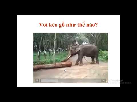 LTVC lớp 2 tuần 23 Từ ngữ về muông thú. Đặt và trả lời câu hỏi Như thế nào?