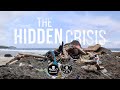The Hidden Crisis: Christmas Island 2022