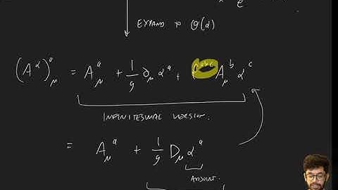 QFT2 Lecture 8a: Quantizing Yang-Mills theory