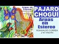 PAJARO CHOGUI - arpas paraguayas