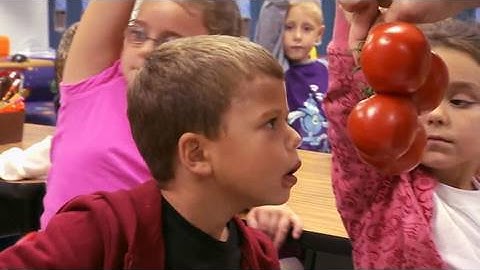 Potato or Tomato? - Jamie Oliver