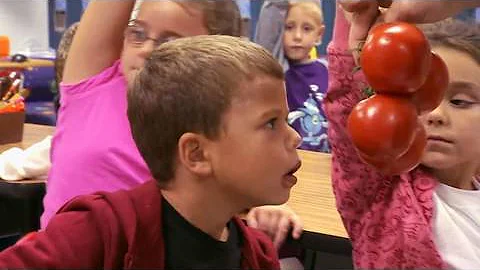 Potato or Tomato? - Jamie Oliver's Food Revolution...