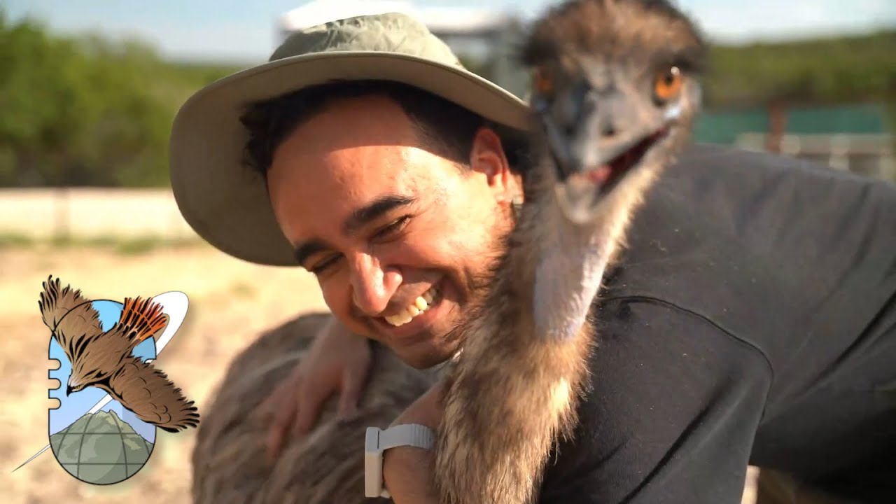 We saved the animals.