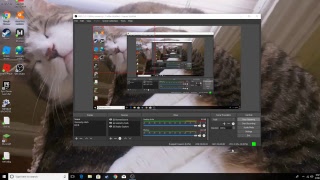 Yo Bros Live Stream