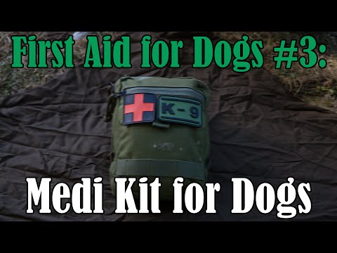 First Aid for Dogs #3: Erste Hilfe Tasche für den Hund