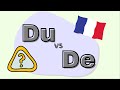 Du or de   french grammar explained