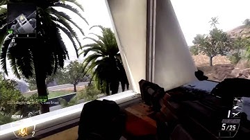 Bo2 Suicide Hitmarker on Raid