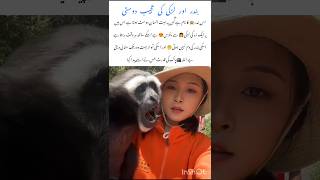 Unbelievable Natural Bond Between Human & Gibbon