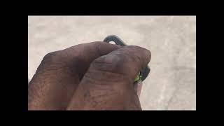 Famous Mazda key code exception to the rule Wealth