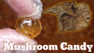#137 Mushrooms Candy that tastes good? At Lofty Pursuits of course.