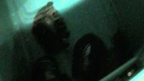 How I Hibernate My Turtles