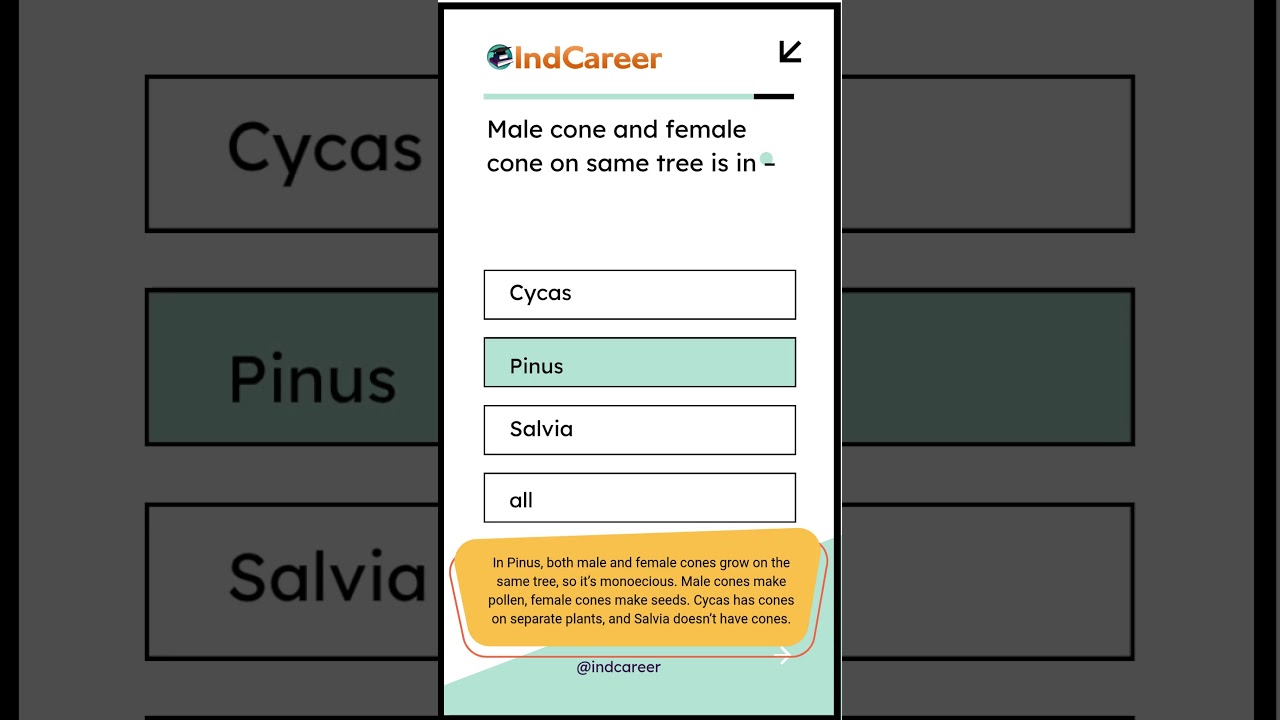 Male & Female Cones on Same Tree | Pinus Explained in 15 Secs IndCareer
