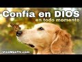 🔥 Confía en DIOS en todo momento | Palabra de Vida y Salvacion