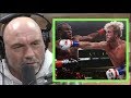 Joe Rogan on Logan Paul "He Can Punch"