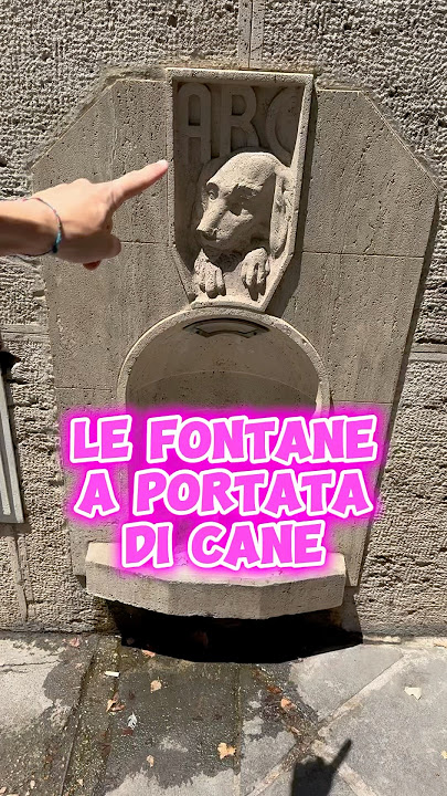 Le fontane romane a portata di cane