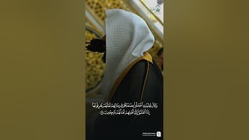 مقتطف من تلاوة فضيلة الشيخ #عبدالله_القرافي من صلاة الفجر الثلاثاء ١١ صفر ١٤٤٧