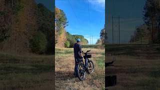 Euphree Stellar Falcon