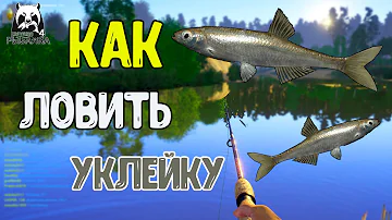 КАК ЛОВИТЬ УКЛЕЙКУ НА ПОПЛОВОК В РУССКОЙ РЫБАЛКЕ 4
