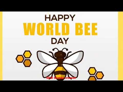 Happy World Bee Day Status 21 World Bee Day Status Whatsapp Status th May Important Day Bee Youtube Happy World Bee Day Status 21 World Bee Day Status Whatsapp Status th May Important Day Bee Youtube