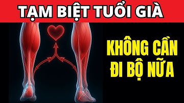 Đánh thức trái tim thứ 2 - Chỉ 1 bài tập và bạn không cần đi bộ nữa | BS Minh Hạnh