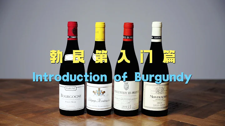 勃艮第產區入門介紹  Introduction of Burgundy - 天天要聞